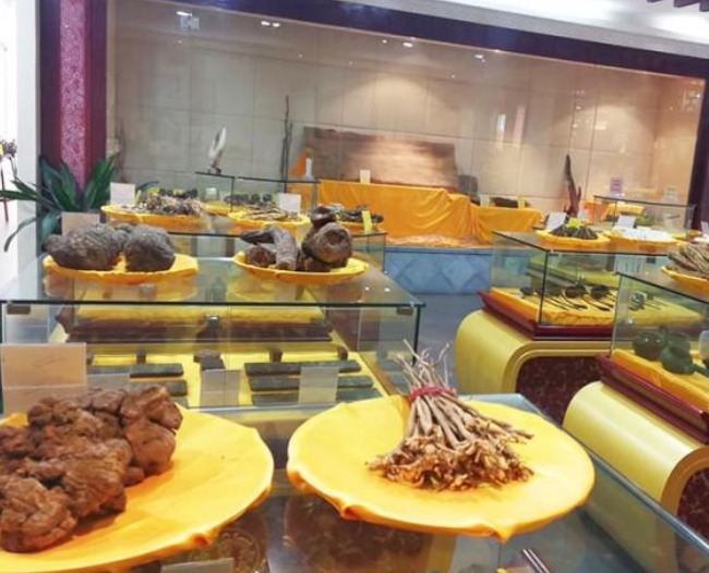 菏泽鹿茸展览柜